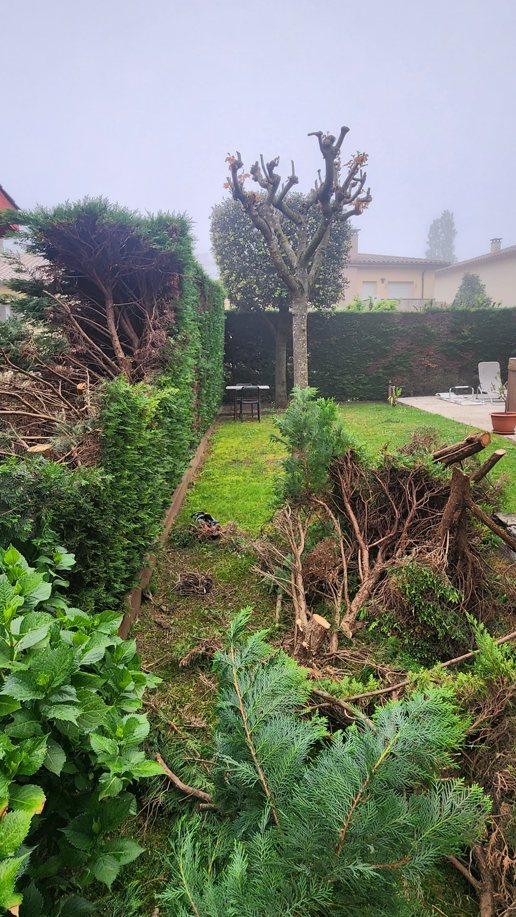 Jardí lateral abans amb vegetació i restes de poda a Osona