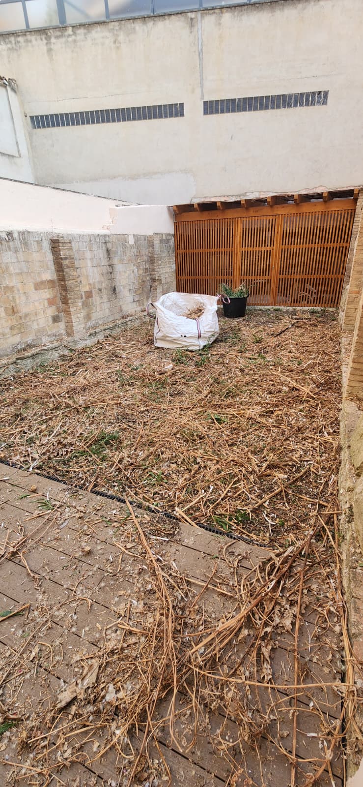 Pati ple de restes vegetals i canyes seques abans de la neteja a Osona