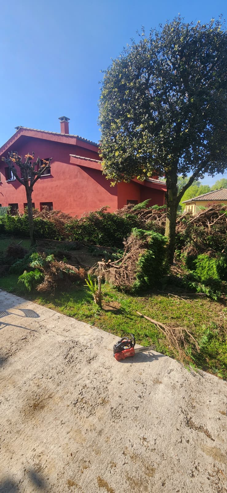 Jardí abans de retirar la tanca vegetal a Osona