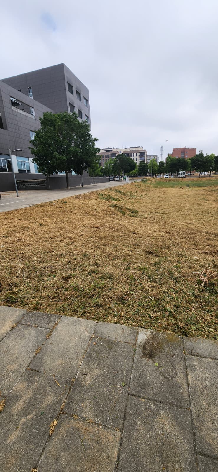 Solar urbà net després del desbrossament a Osona
