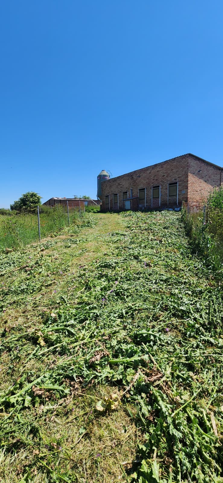 Jardí net i endreçat amb tanca de bruc després de la neteja a Osona