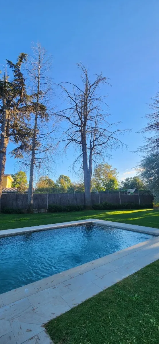 Jardí amb piscina i arbres a Osona