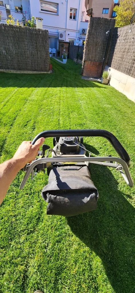 Manteniment de gespa natural amb sega professional a un jardí de Vic