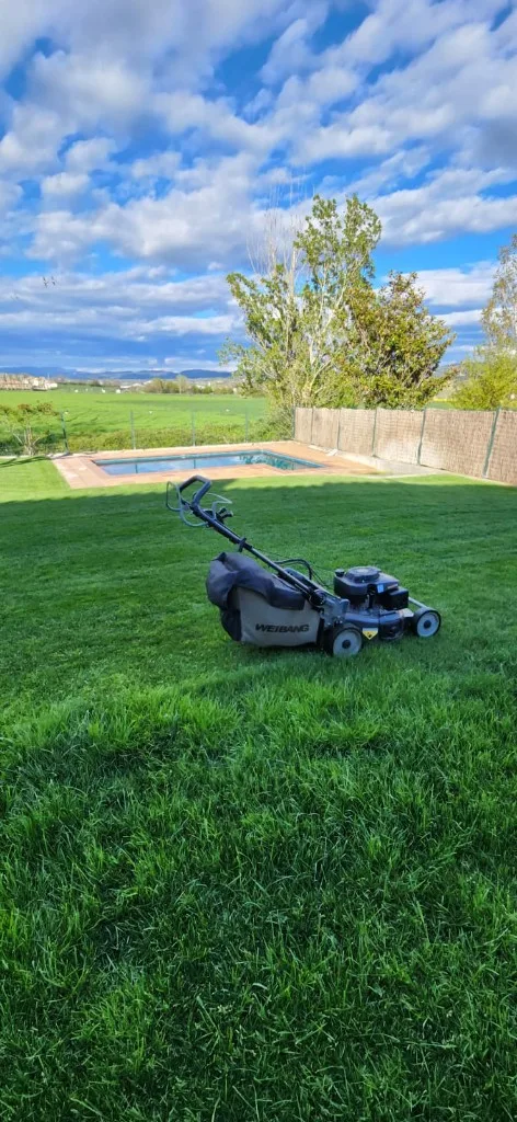 Sega de gespa natural amb tallagespa professional al costat de piscina a Osona