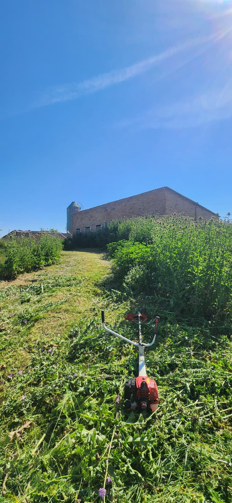 Instal·lació de tanca de bruc natural per privacitat a Osona